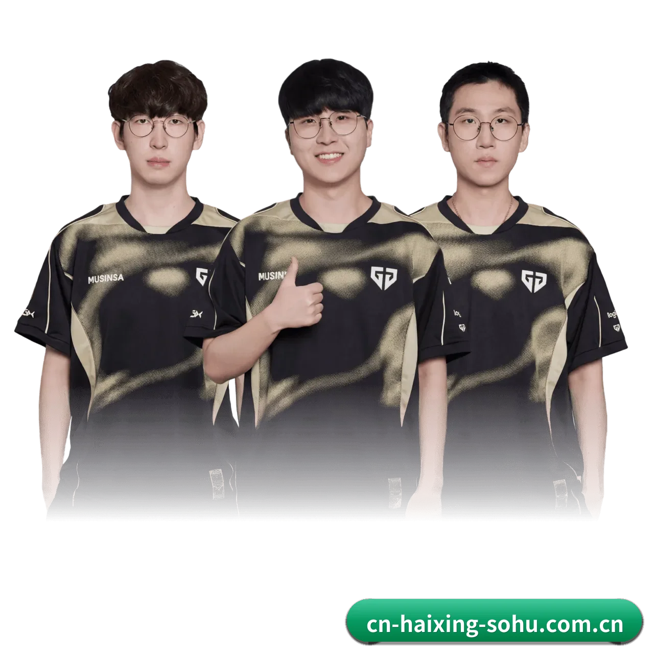 海星体育 APP（haixing）